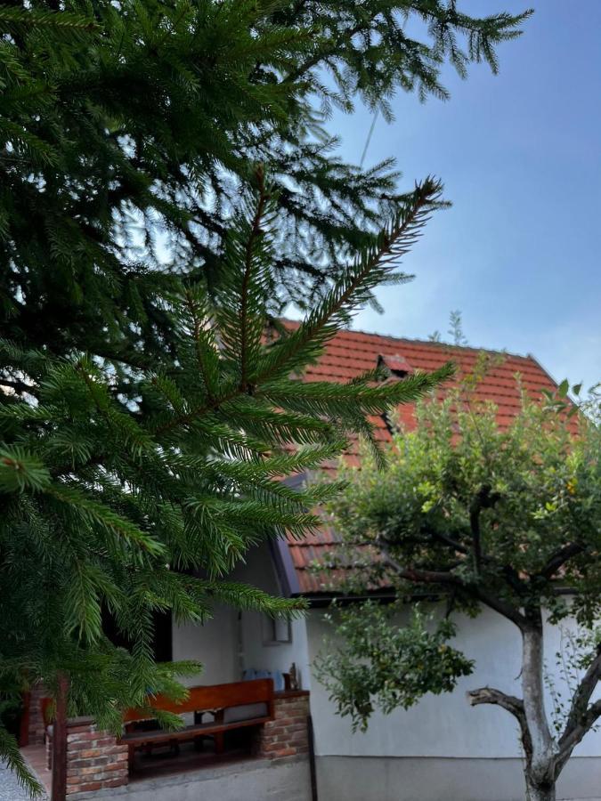 Holiday Home Amila 维索科 外观 照片