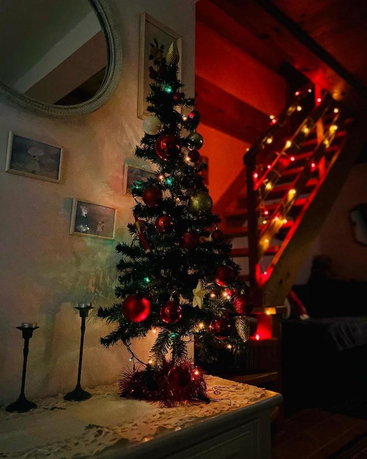 Holiday Home Amila 维索科 外观 照片